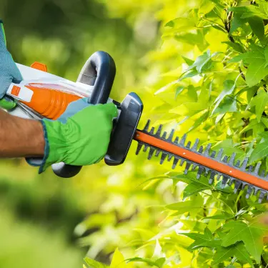 Sådan Klipper Du Din Hæk - Hvordan og Hvornår